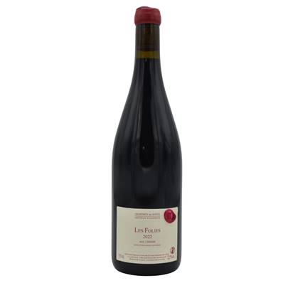 Chinon - Les Folies