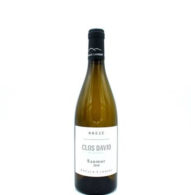 Saumur - David