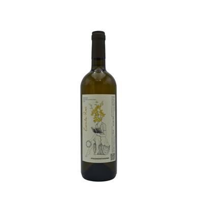 IGT Toscane - Zacinta Revi Bianco