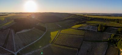 Le vignoble de Chablis