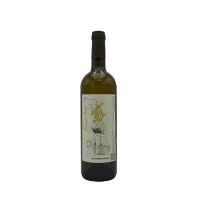 IGT Toscane - Zacinta Revi Bianco